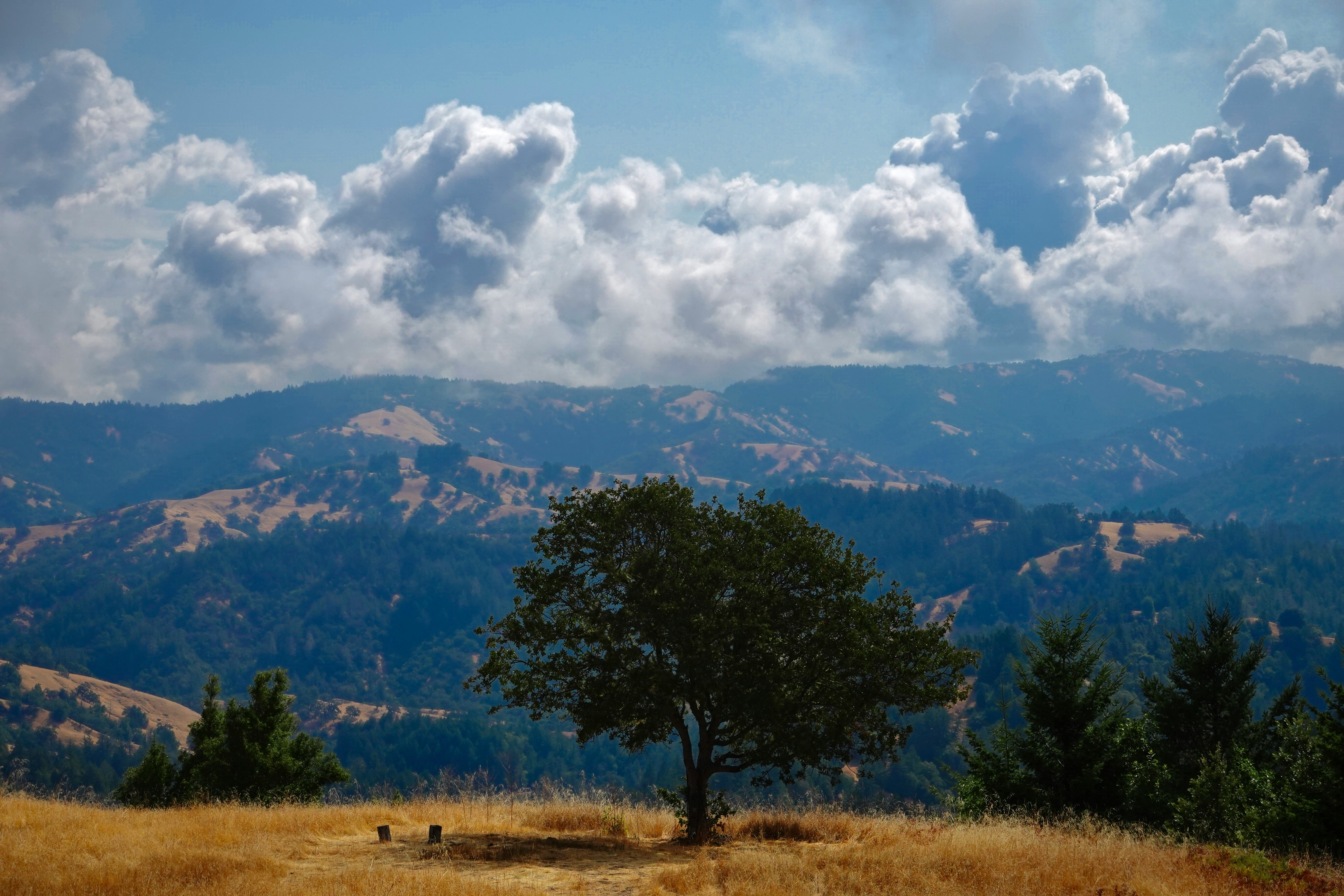 Circular economy workshop